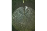 2600 GALLON STAINLESS STEEL BATCH TANK, Click to view larger photo...